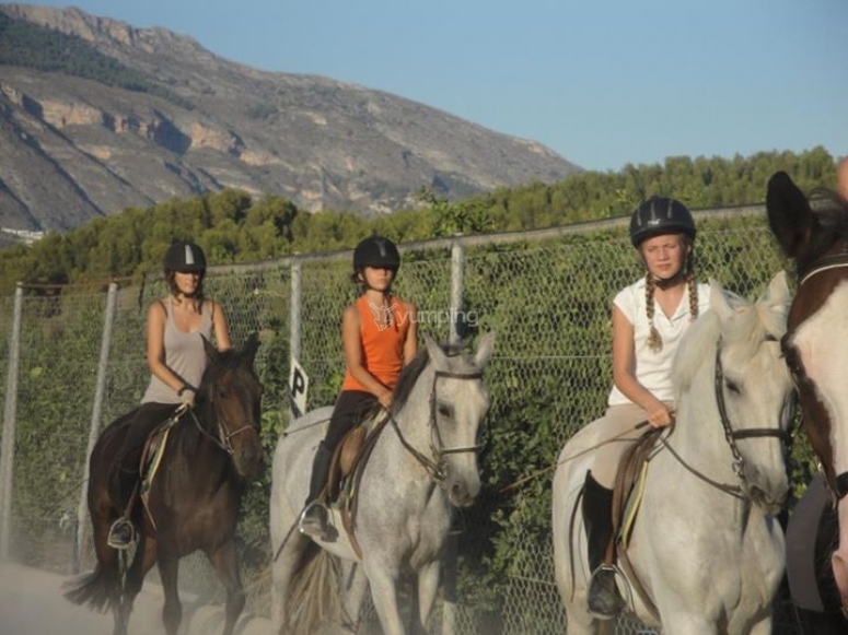 Club Hípico Altea, precios y reservas 2024